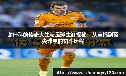 威客电竞平台